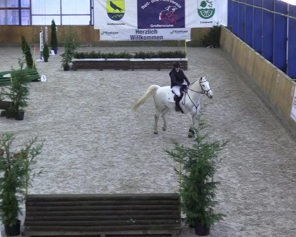 Reitturnier Großenwiehe 2023