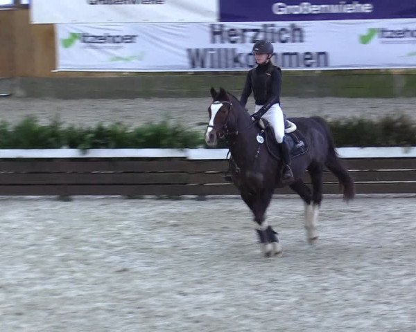 Reitturnier Großenwiehe 2023