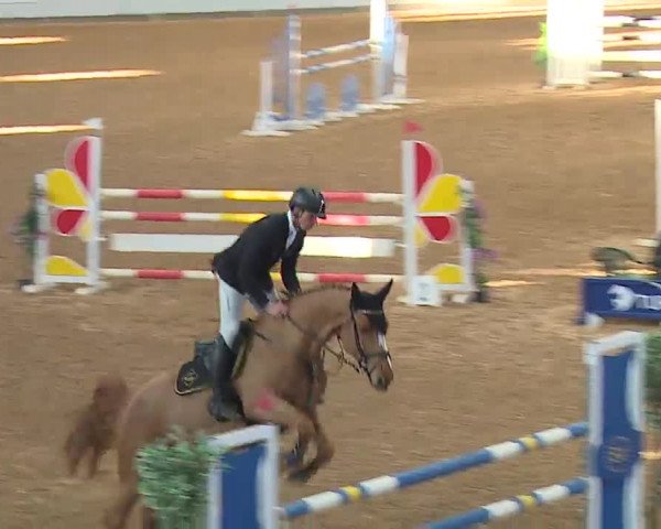 Reitturnier Kreuth 2023