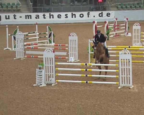 Reitturnier Kreuth 2023