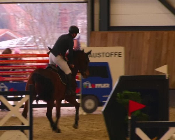 Reitturnier Zwickau 2023