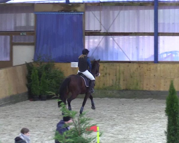 Video of Looping Luzie