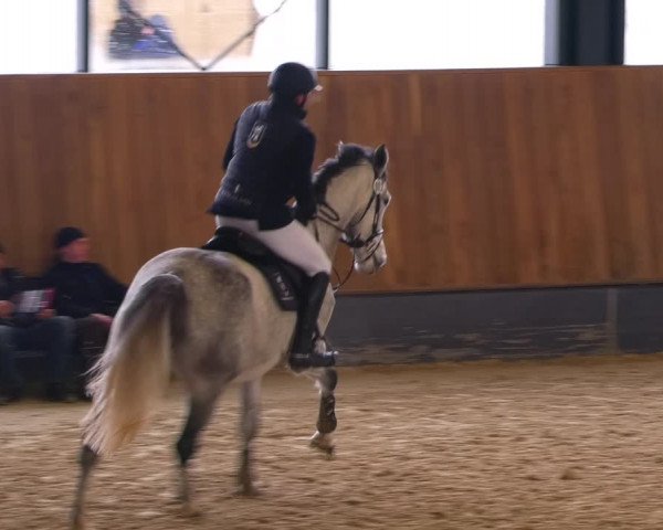 Reitturnier Zwickau 2023