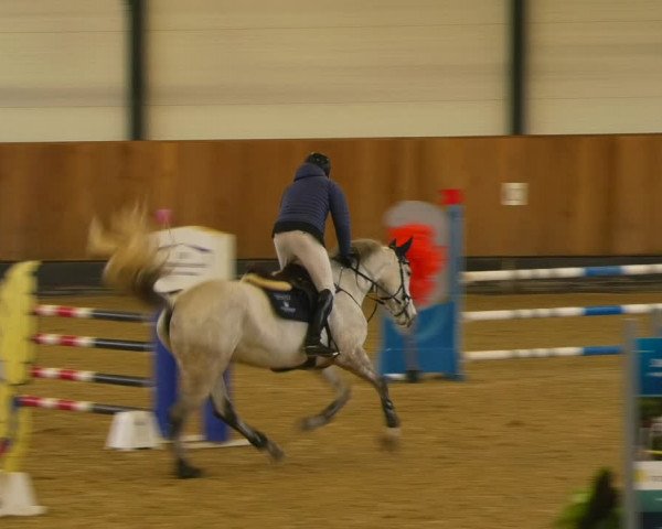 Reitturnier Zwickau 2023