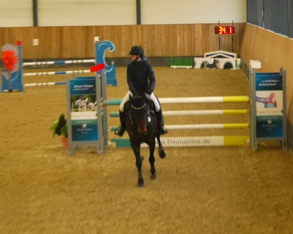 Reitturnier Zwickau 2023