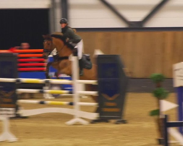 Reitturnier Zwickau 2023