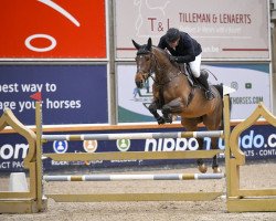 jumper Ride Smart Over The Top (Belgian Warmblood, 2014, from Ogano Sitte)