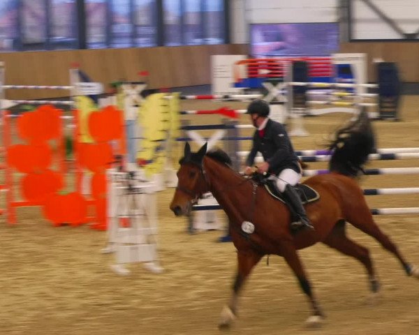 Reitturnier Zwickau 2023