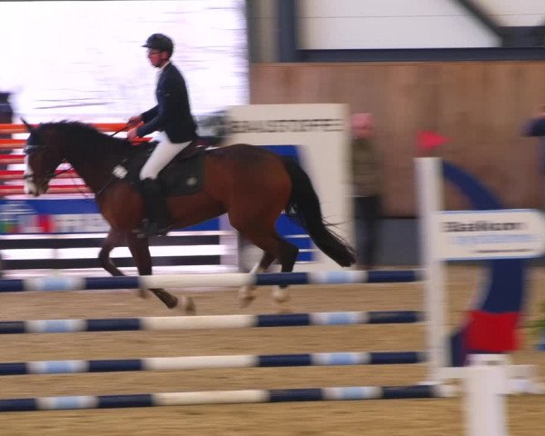 Reitturnier Zwickau 2023
