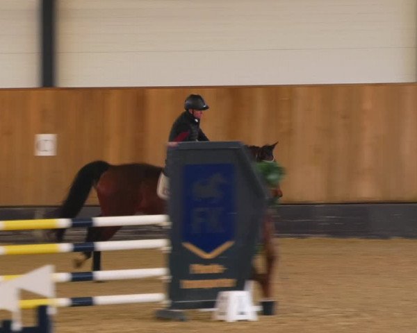 Reitturnier Zwickau 2023