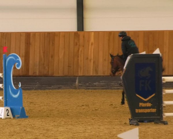 Reitturnier Zwickau 2023