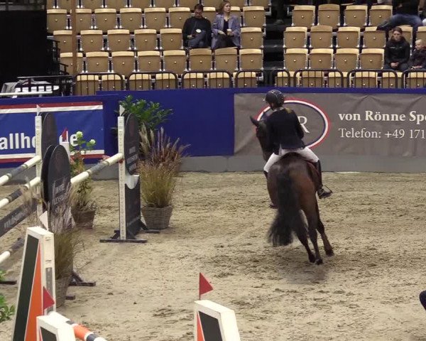 FEI Reitturnier Neumünster (GER) 2021