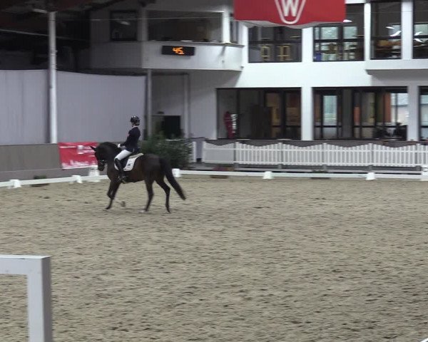 Reitturnier Münster-Handorf 2023