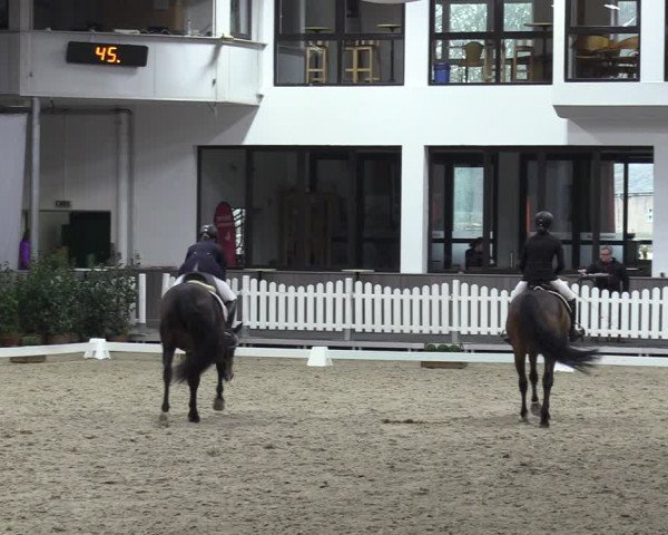 Reitturnier Münster-Handorf 2023