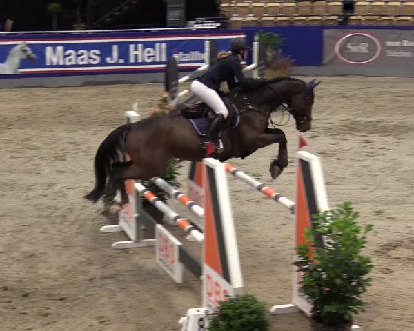 FEI Reitturnier Neumünster (GER) 2021