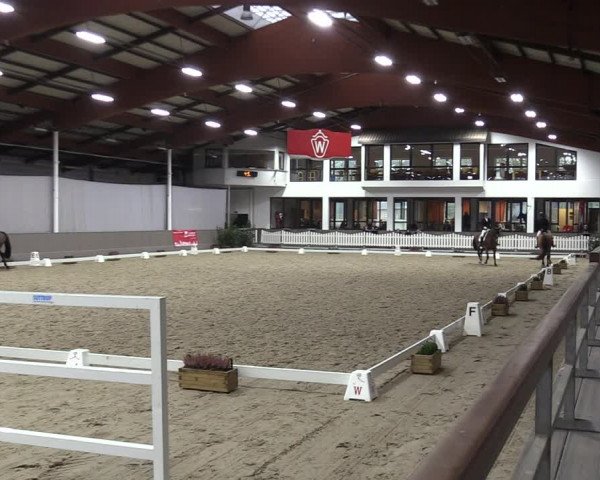 Reitturnier Münster-Handorf 2023