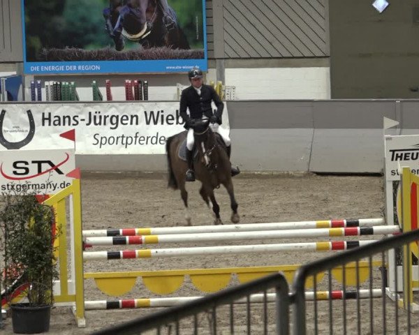 Reitturnier Luhmühlen 2023