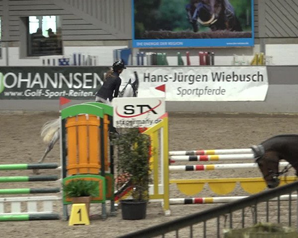Reitturnier Luhmühlen 2023