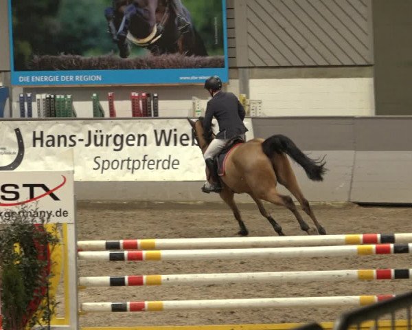 Reitturnier Luhmühlen 2023
