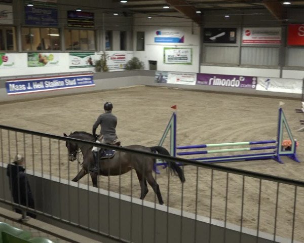 Reitturnier Luhmühlen 2023