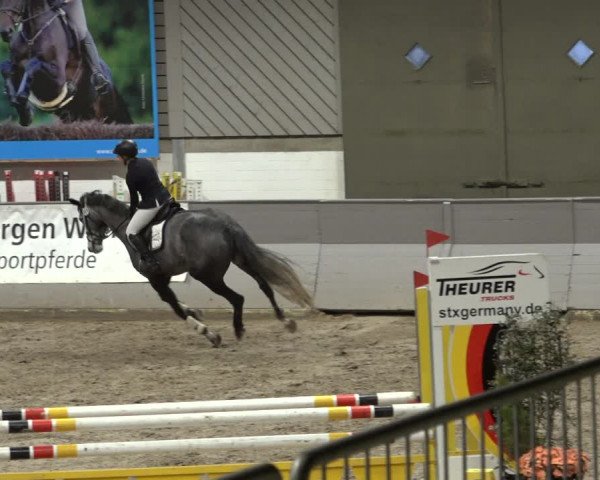Reitturnier Luhmühlen 2023