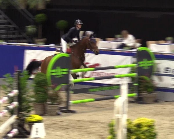 FEI Reitturnier Neumünster (GER) 2021