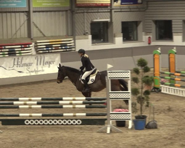 Reitturnier Luhmühlen 2023