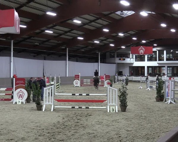 Reitturnier Münster-Handorf 2023