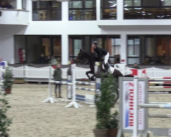 Reitturnier Münster-Handorf 2023