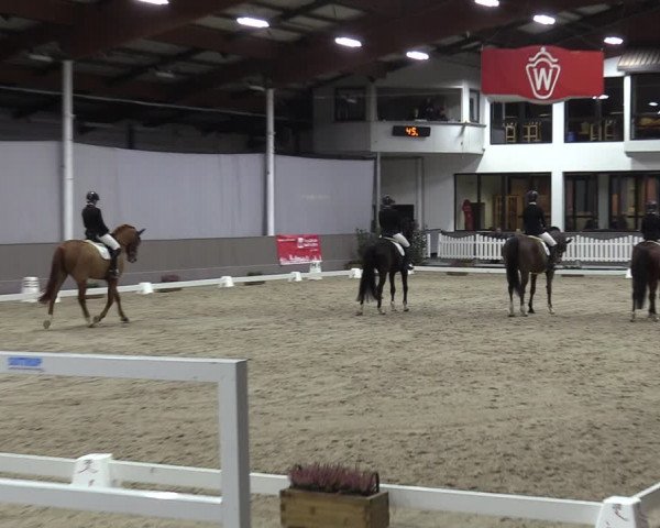 Reitturnier Münster-Handorf 2023