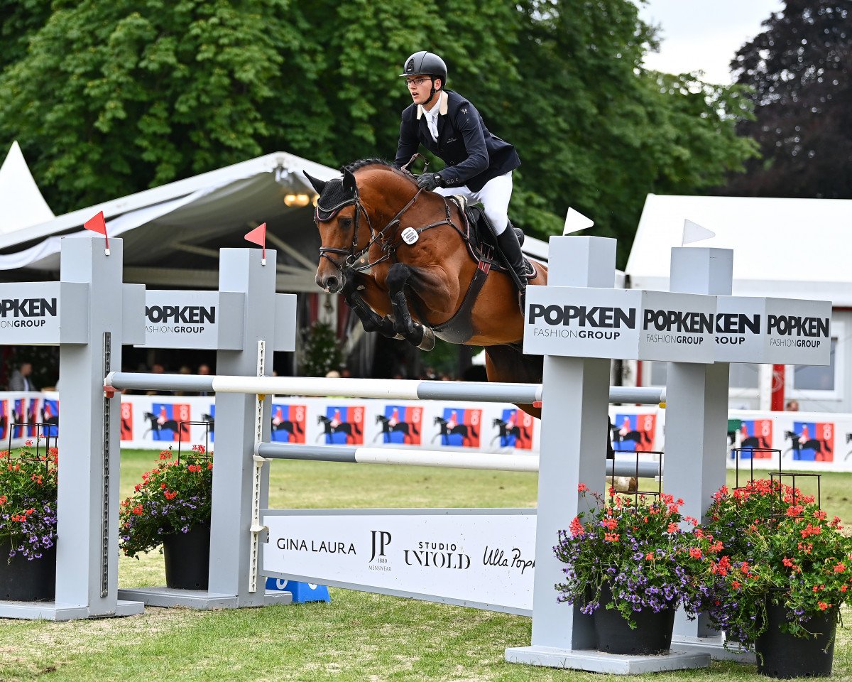 stallion Herakles (Oldenburg, 2012, from Catoki)