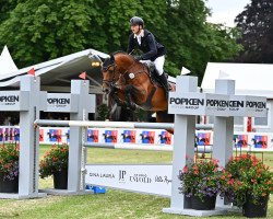 stallion Herakles (Oldenburg, 2012, from Catoki)