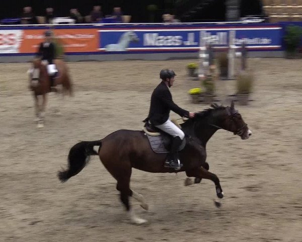 FEI Reitturnier Neumünster (GER) 2021