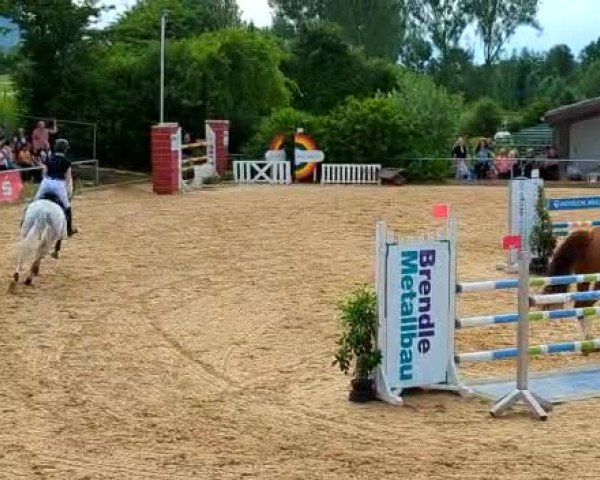 Reitturnier Essingen 2022