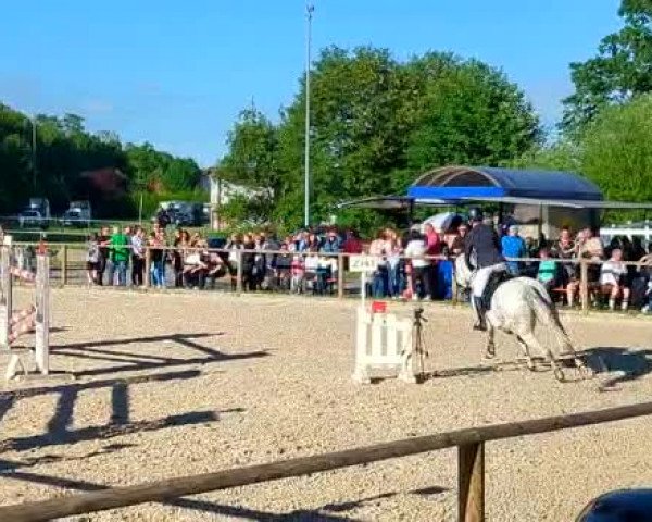 Reitturnier Sontheim/Brenz 2022