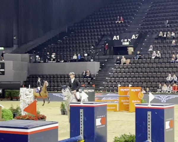 FEI Reitturnier Basel, St. Jakobshalle (SUI) 2023