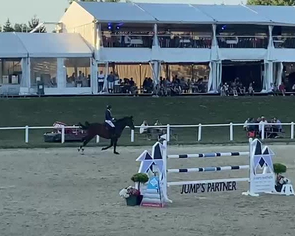 Reitturnier Le Chalet-à-Gobet 2022