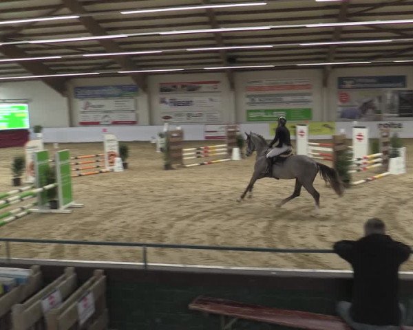 Reitturnier Borken 2023