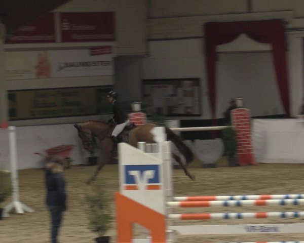 Reitturnier Borken 2023
