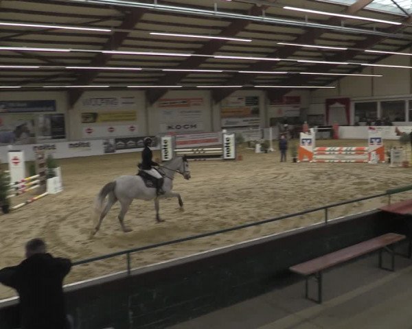 Reitturnier Borken 2023