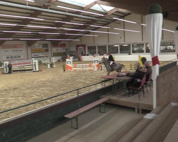 Reitturnier Borken 2023