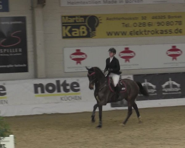 Reitturnier Borken 2023