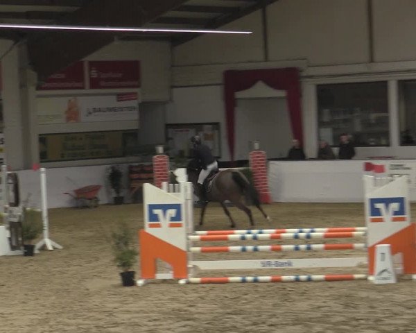 Reitturnier Borken 2023