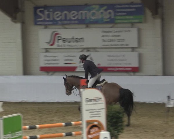 Reitturnier Borken 2023