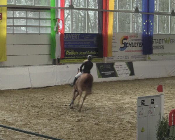 Reitturnier Borken 2023