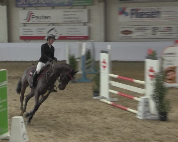 Reitturnier Borken 2023
