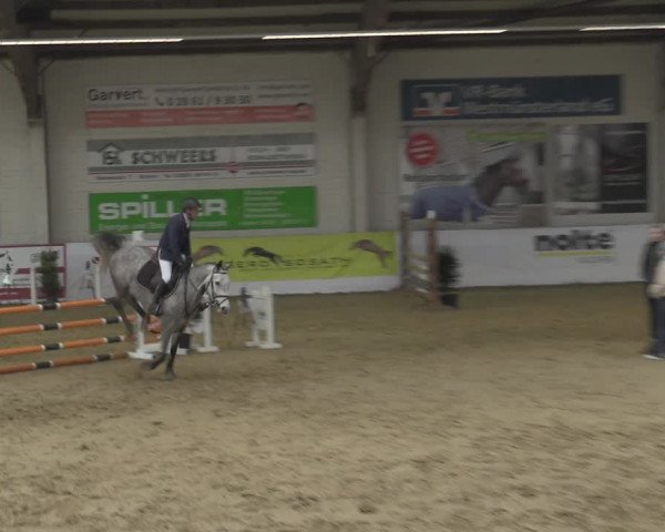 Reitturnier Borken 2023