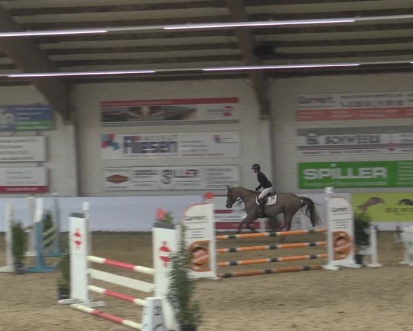 Reitturnier Borken 2023
