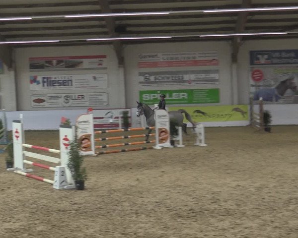 Reitturnier Borken 2023