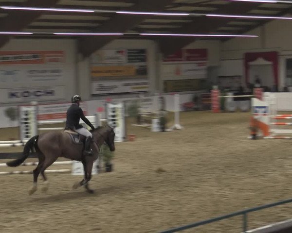 Reitturnier Borken 2023